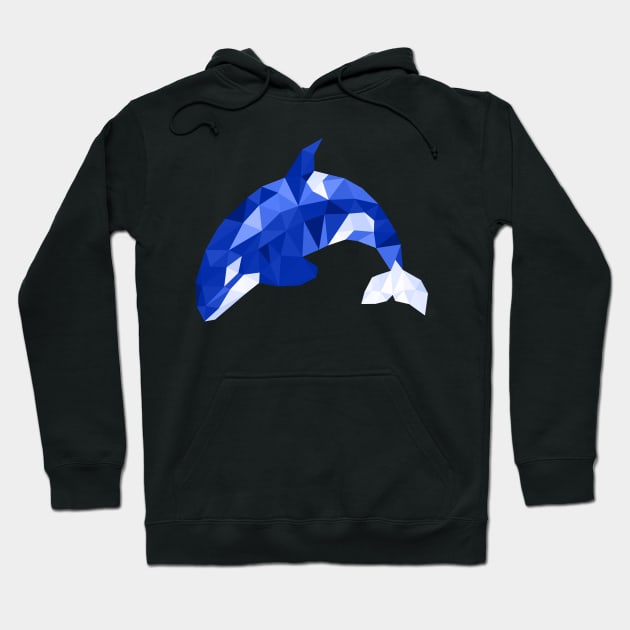 Orca Whale Design for Boys Men Girls Women Kids Hoodie by Azizshirts